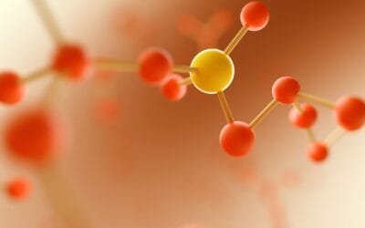 Intolerancia a la histamina: cómo abordarla con una dieta personalizada